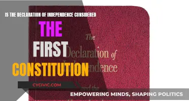 The Declaration of Independence: Precursor to the US Constitution