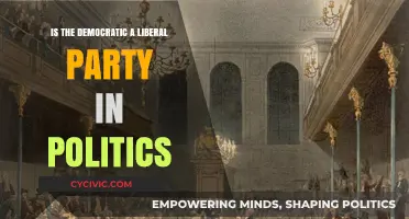 Is the Democratic Party Truly Liberal? A Political Analysis