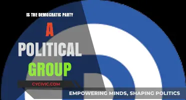Is the Democratic Party a Political Group? Exploring Its Role and Identity