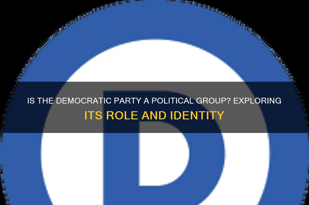 is the democratic party a political group