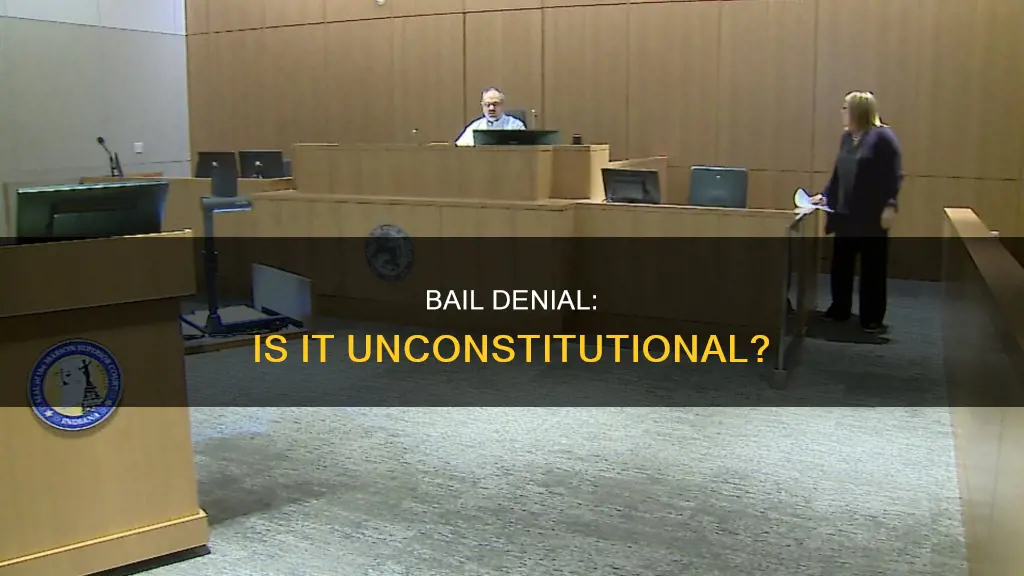 is the denial of bail in the us constitution