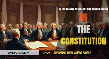 The Necessary and Proper Clause: Elasticity of the Constitution