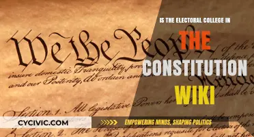 Electoral College: Constitutional or Not?