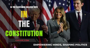 Electoral College: Constitutional or Not?