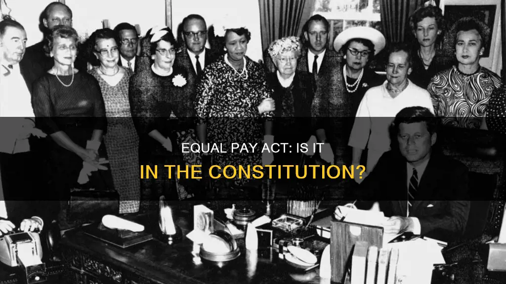 is the equal pay act in the constitution