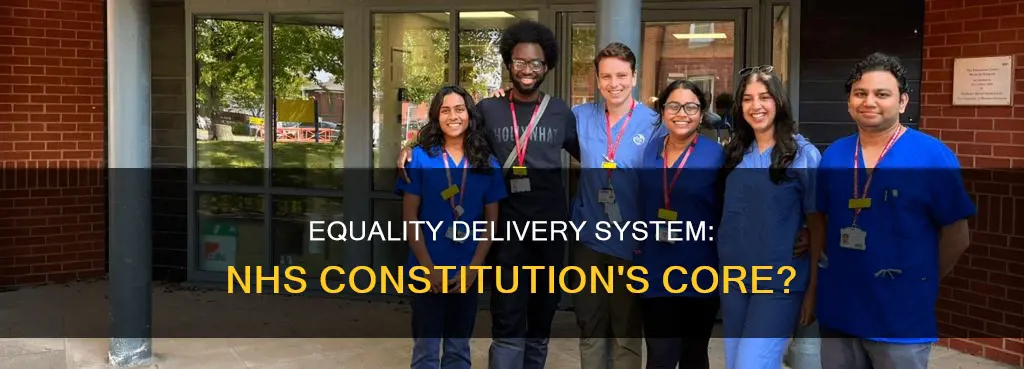 is the equality delivery system part of the nhs constitution
