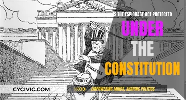 Espionage Act: Is It Constitutional?