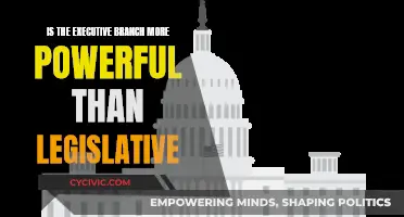Executive Power: Legislative Branch's Control or Lack Thereof?