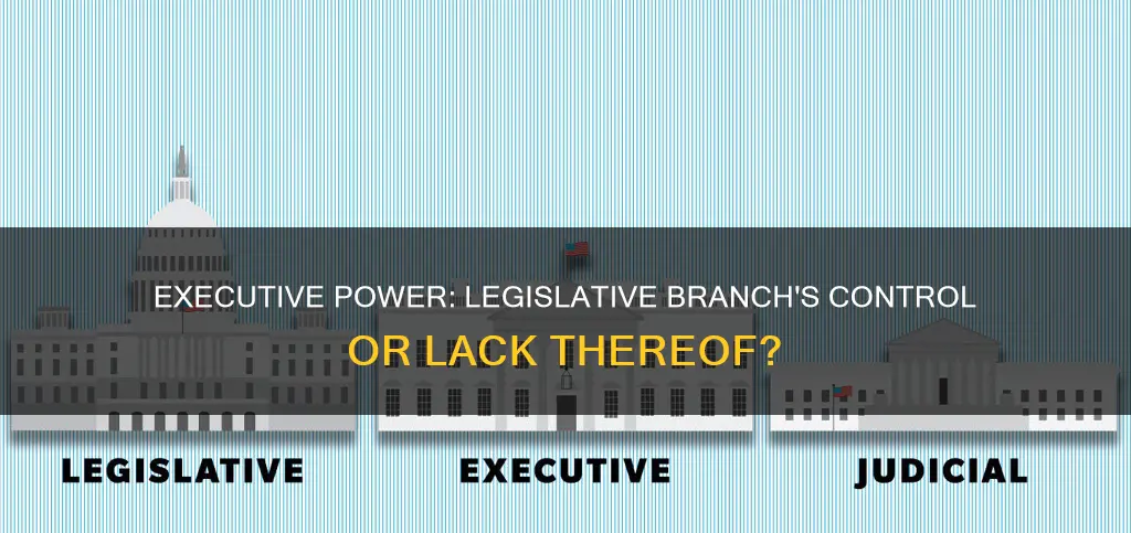is the executive branch more powerful than legislative