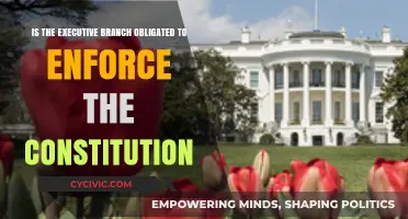 Executive Branch: Enforcing the Constitution, Obligated or Not?