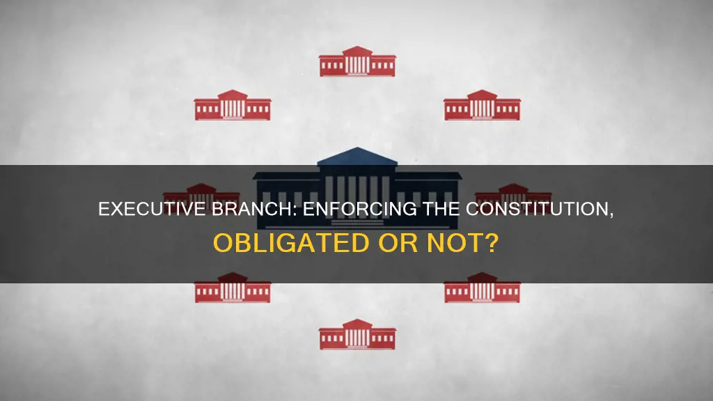 is the executive branch obligated to enforce the constitution