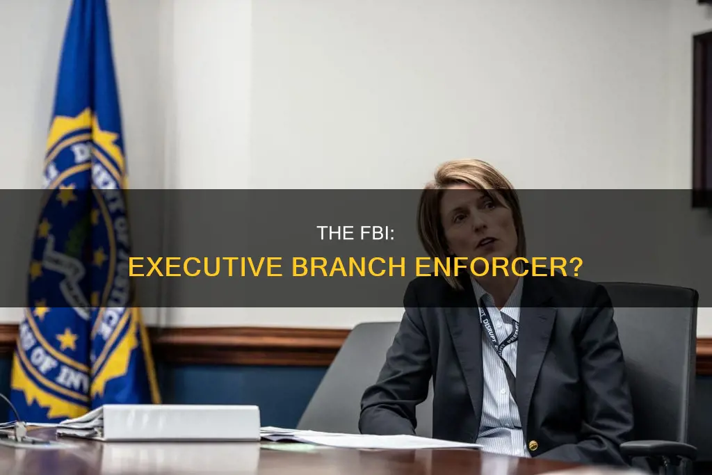 is the fbi part of the executive branch