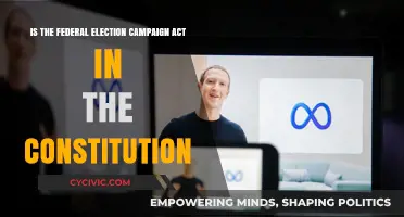 Campaign Finance Laws: Constitutional or Unconstitutional?