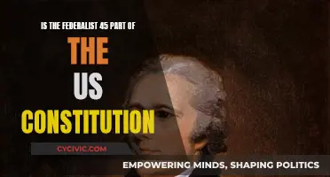 Federalist 45: A Constitutional Amendment or Just an Essay?