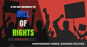 The First Amendment: A Core Pillar of the Bill of Rights