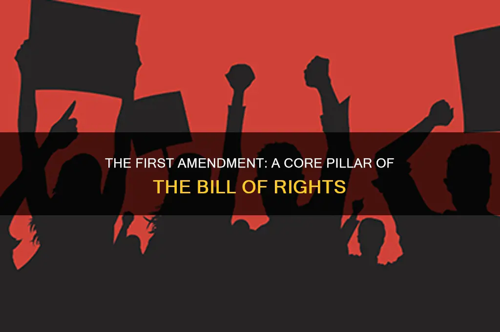 is the first amendment the bill of rights