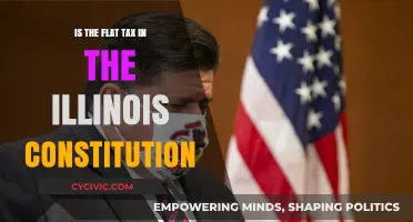 Flat Tax in Illinois: Constitutional or Not?