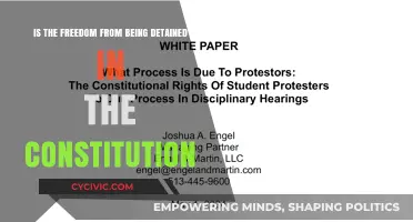 The Constitution's Freedom from Unlawful Detention