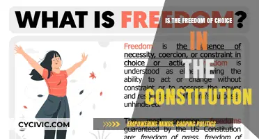 The Constitution: Freedom of Choice Explored