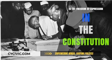 Expression Freedom: A Constitutional Right?