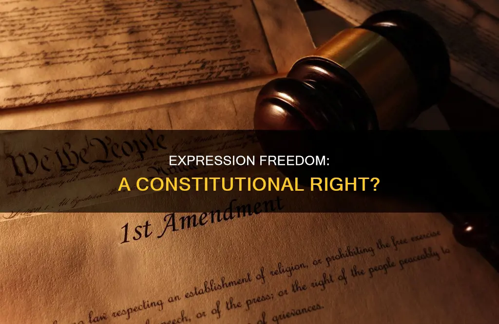 is the freedom of expression in the constitution