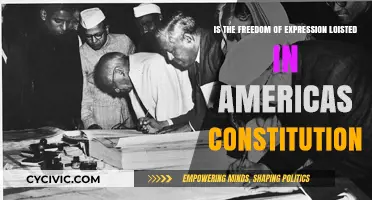 Expression Freedom: America's Constitutional Right