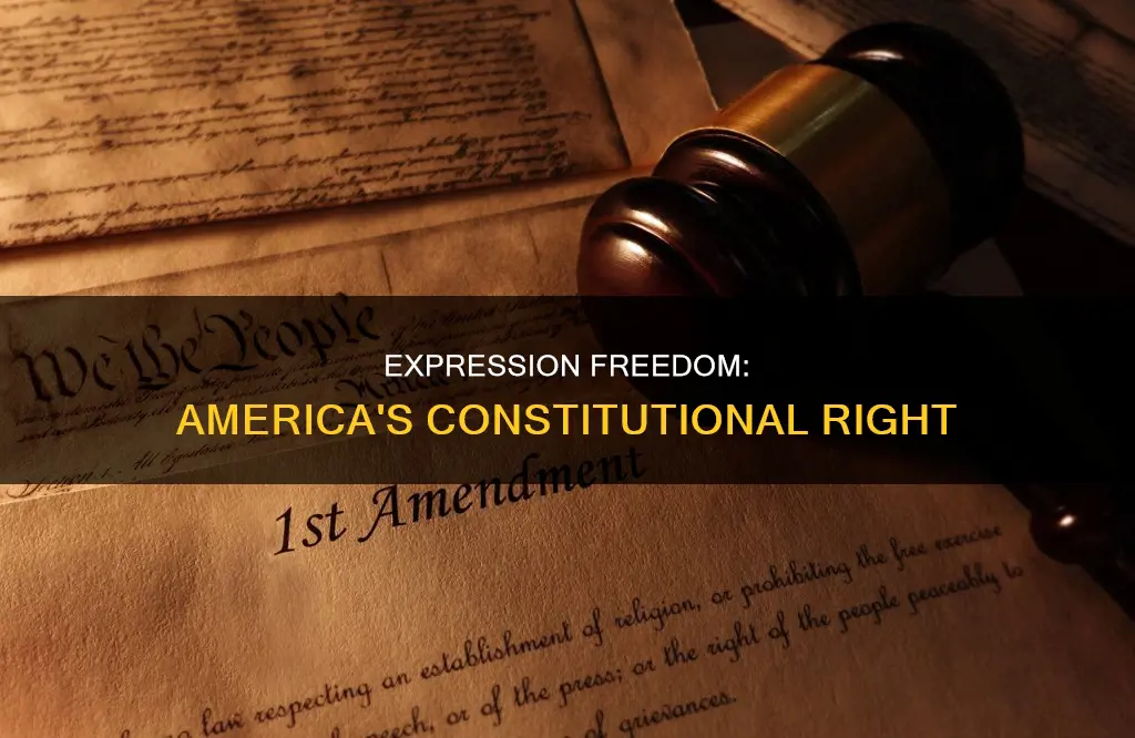is the freedom of expression loisted in americas constitution