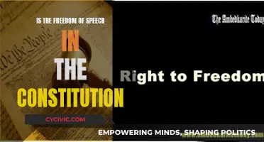 The Constitution's Freedom of Speech: Right or Wrong?