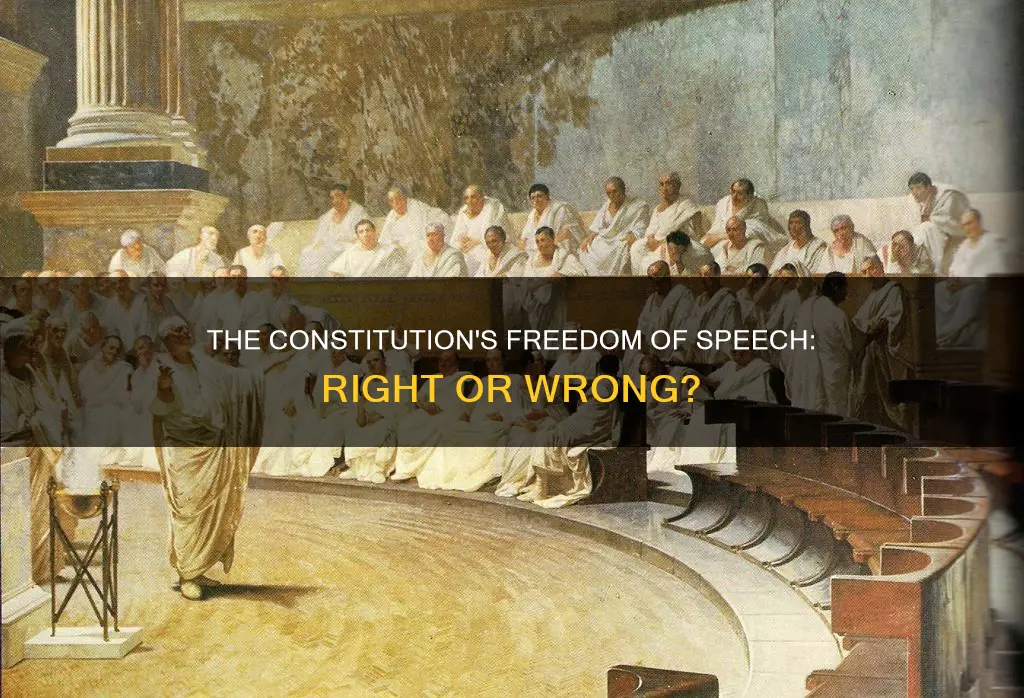 is the freedom of speech in the constitution