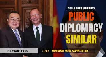 Public Diplomacy Strategies: France and China Compared