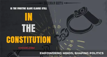 Fugitive Slave Clause: Is It Still in the Constitution?