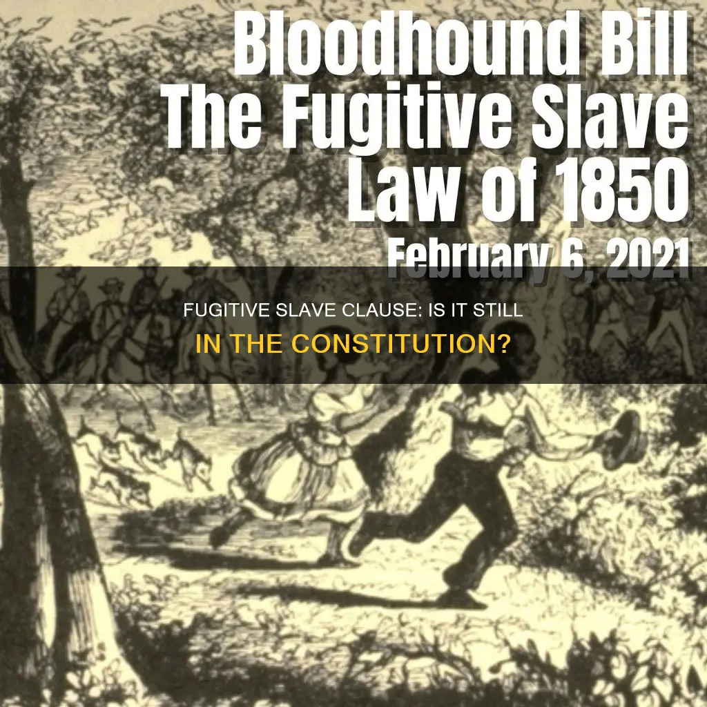is the fugitive slave clause still in the constitution