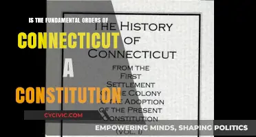 The Fundamental Orders: Constitution or Not?