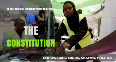 How Elections Work: The Constitution's Guide