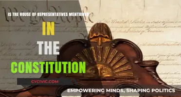 The House of Representatives: A Constitutional Creation