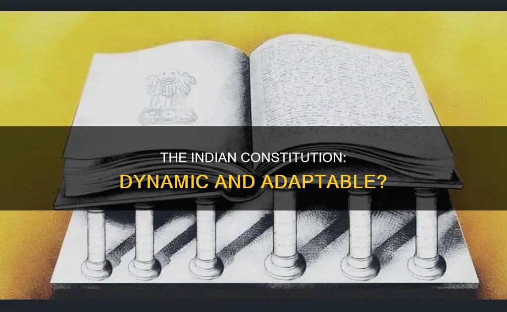 is the indian constitution flexible in nature