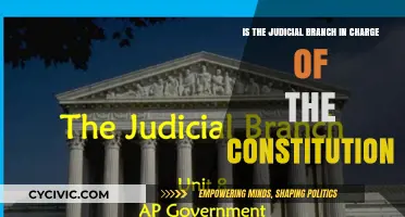 The Judicial Branch: Constitution Guardians?