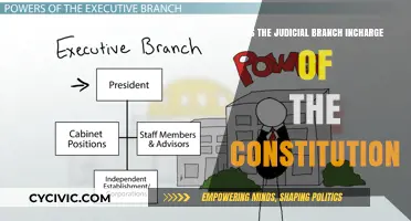 Who Guards the Constitution? Judicial Branch's Role