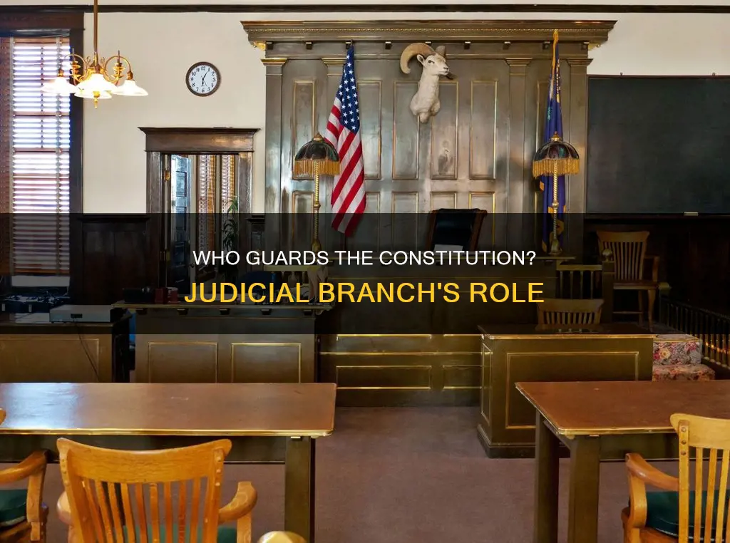 is the judicial branch incharge of the constitution