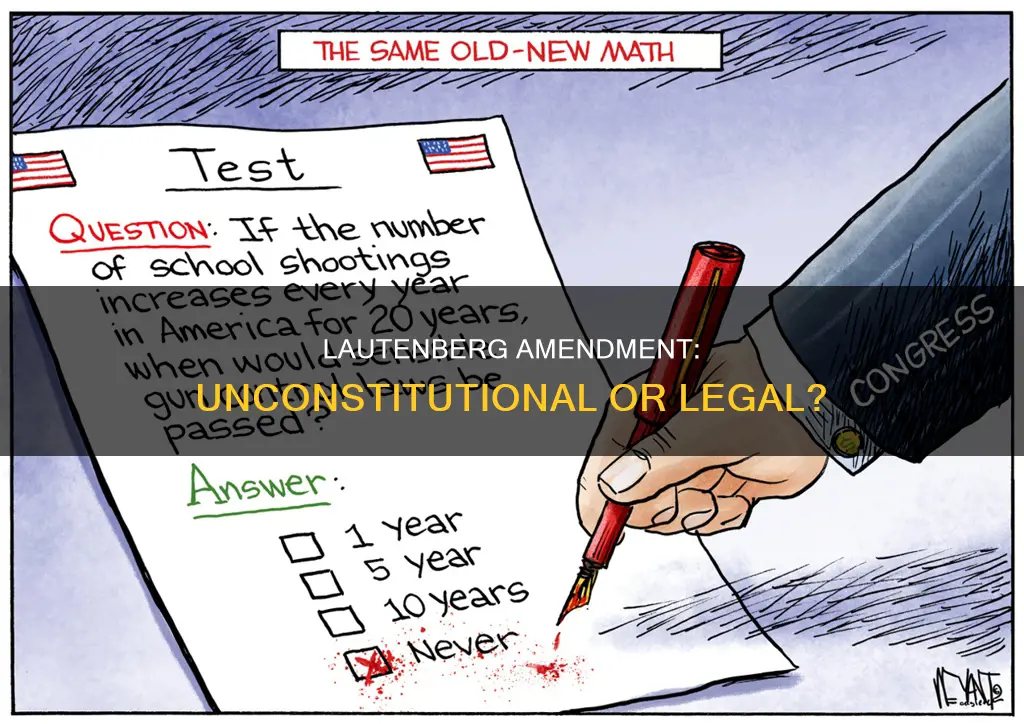 is the lautenberg amendment constitutional