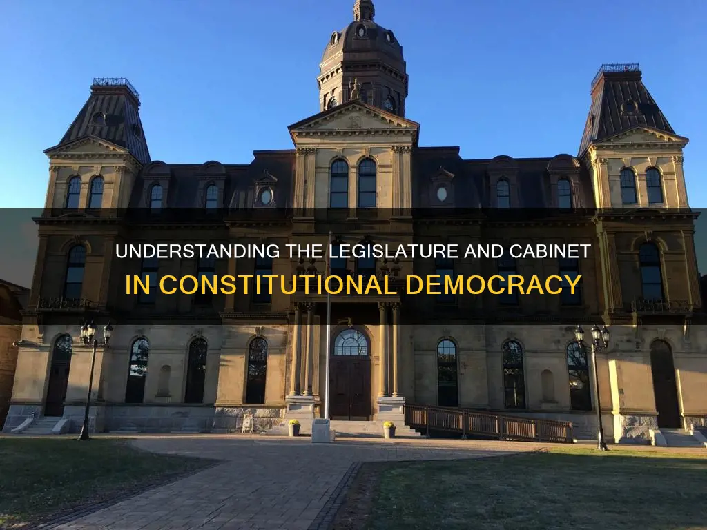 is the legislature the cabinet in a constitutional democracy