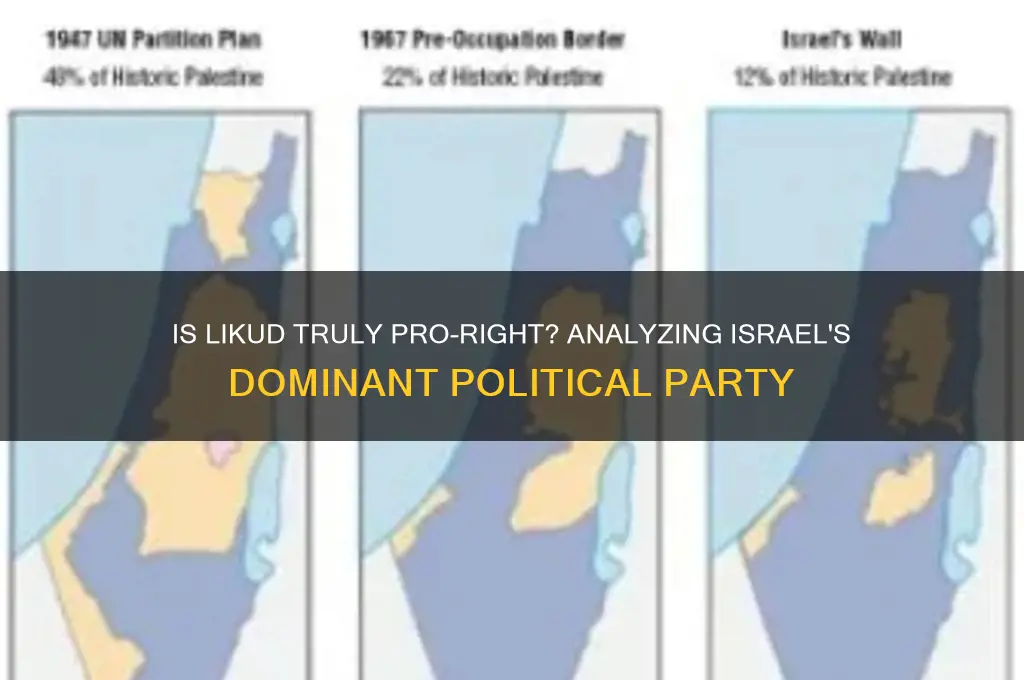 is the likud party a pro-right political party