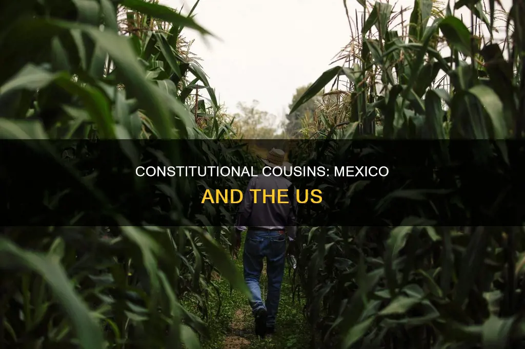 is the mexican constitution based on the us constitution