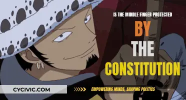 The Middle Finger: Free Speech or Offensive?