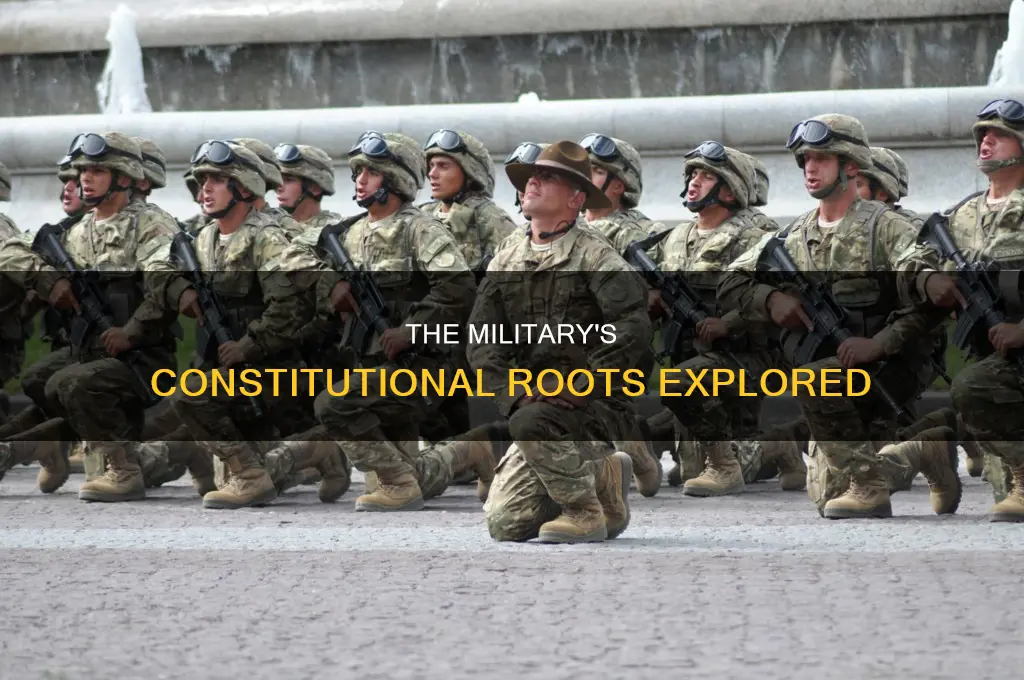 is the military a function of the constitution