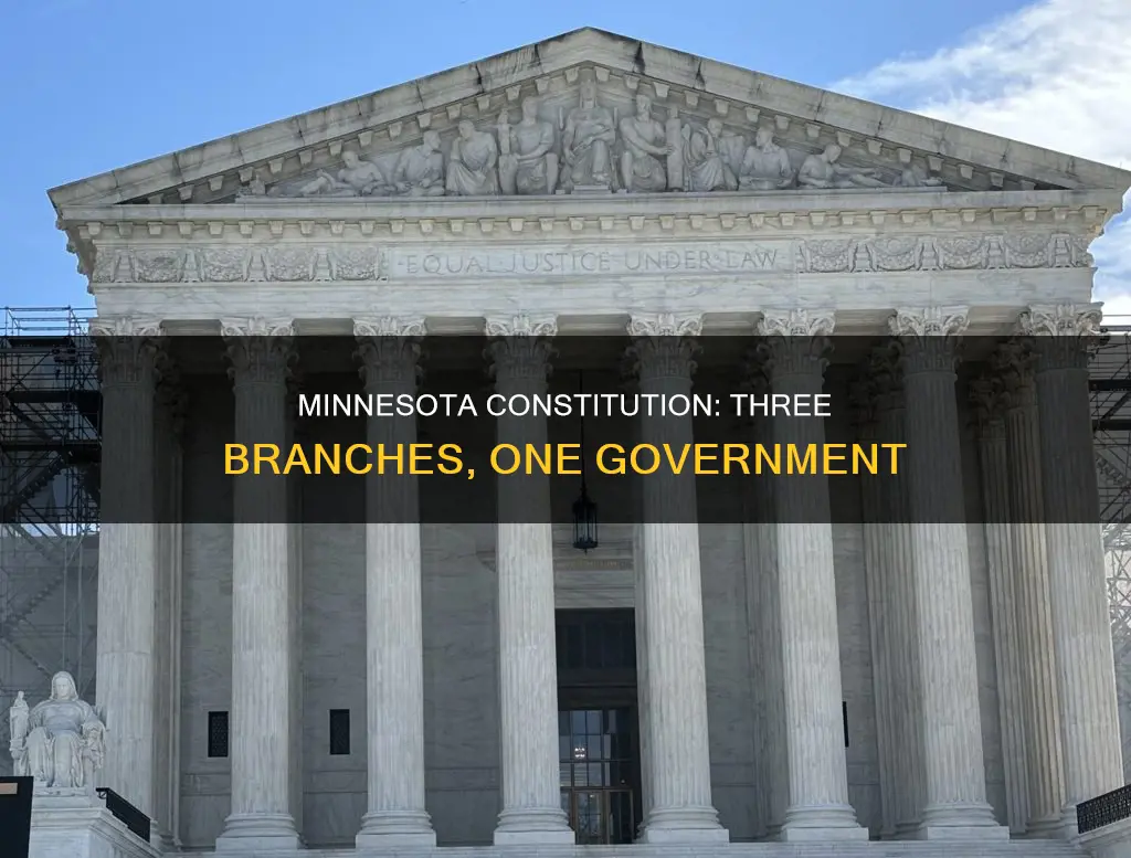 is the minnesota constitution divided in 3 branches