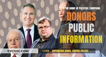 Who Funds Political Campaigns? Donor Privacy and Public Access