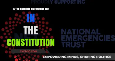 Emergency Powers: Are They Constitutional?