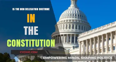 The Non-Delegation Doctrine: A Constitutional Mystery
