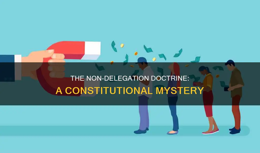 is the non delegation doctrine in the constitution